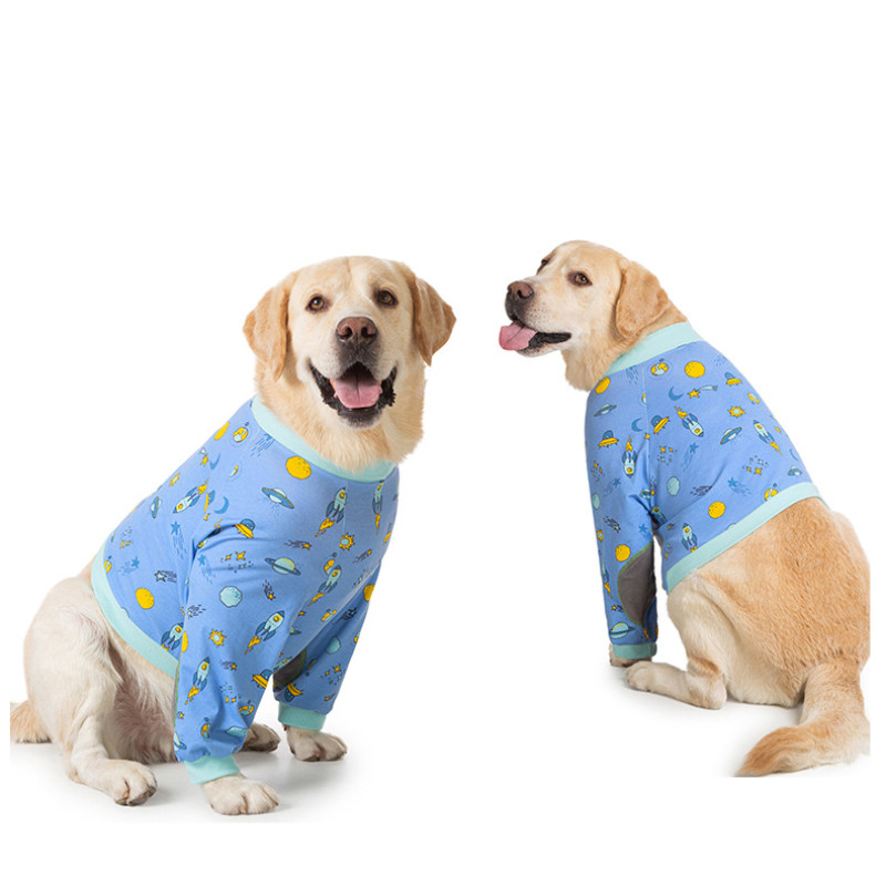 Big Dog Clothes Winter Short T - Winter Clothing Types reseña y precio