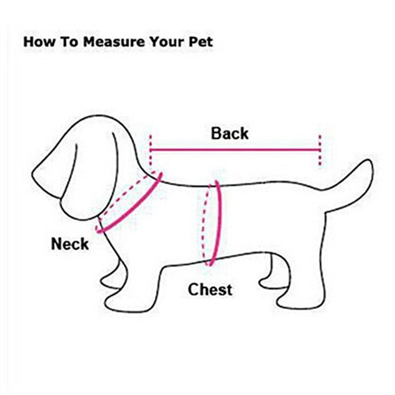 Big Dog Clothes Winter Short T - Winter Clothing Types reseña y precio
