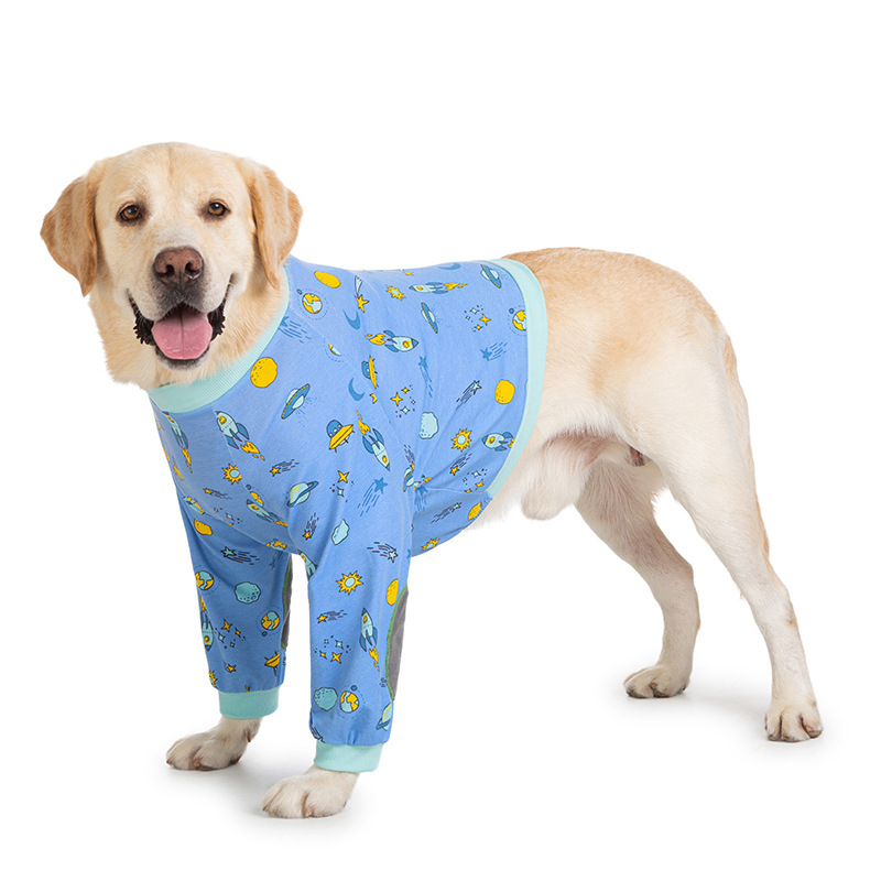Big Dog Clothes Winter Short T - Winter Clothing Types reseña y precio