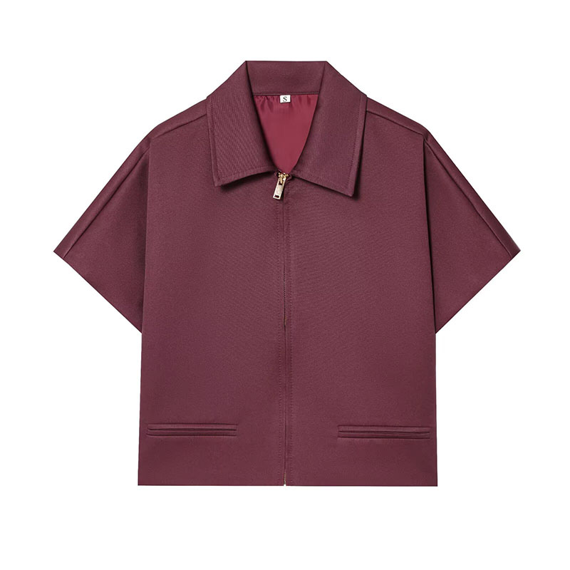 HipSeam Women Lapel Collar Sho - Winter Clothing Women Sale reseña y precio