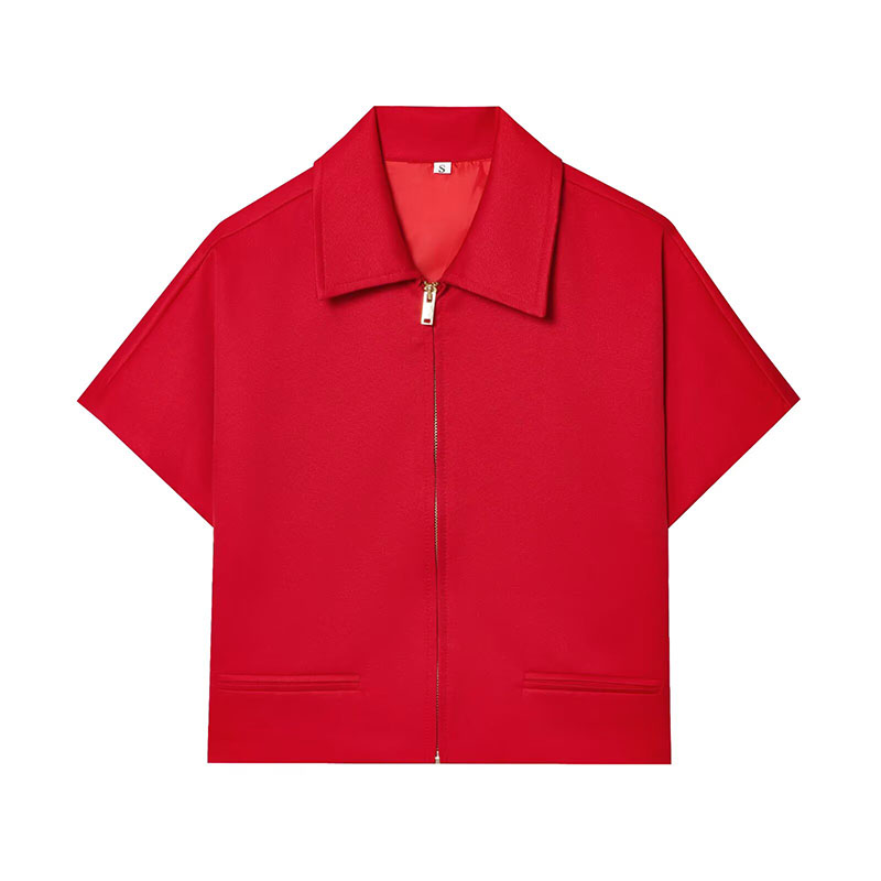 HipSeam Women Lapel Collar Sho - Winter Clothing Women Sale reseña y precio